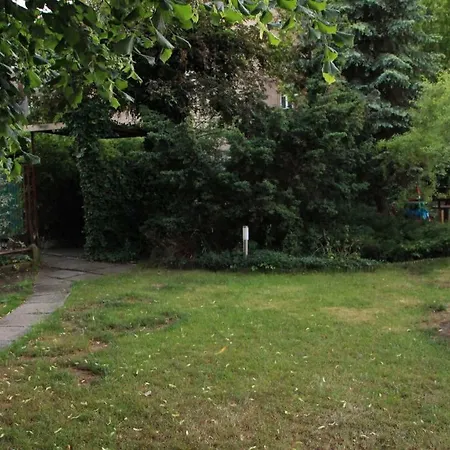 Słoneczny
